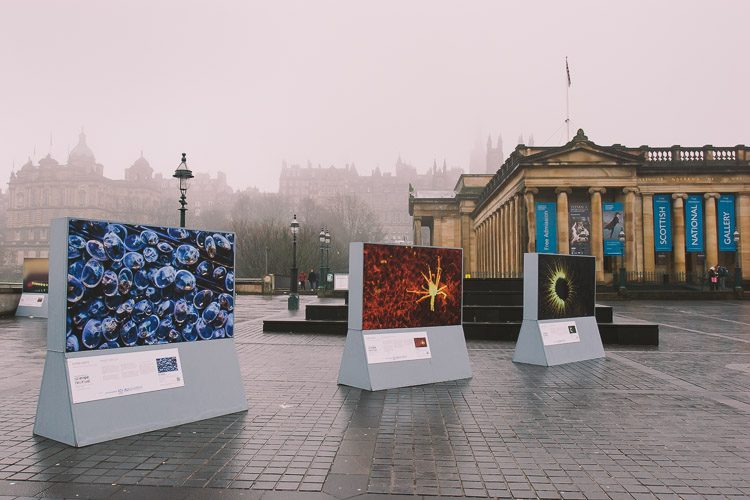 The Living Lights exhibition in Edinburgh