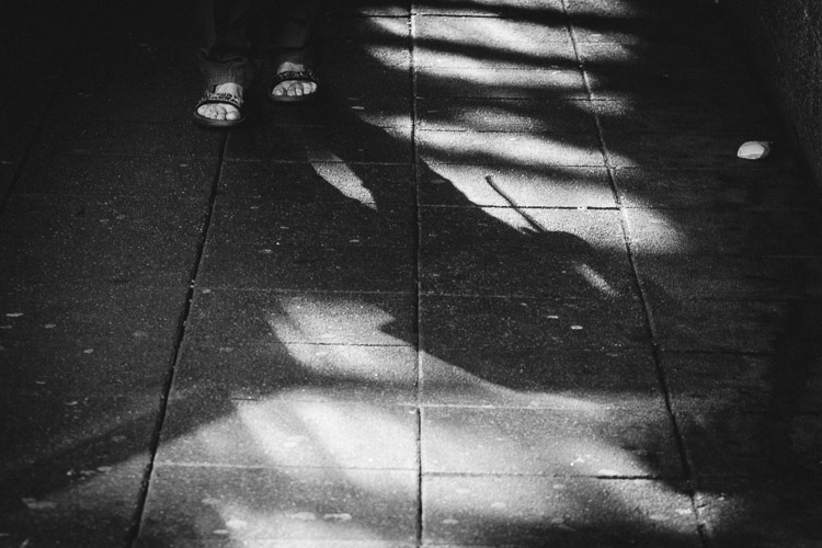 Shadows projected on the ground through the Loreburne shopping centre roof