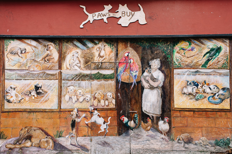 Trompe l'oeil pet shop on Friars Vennel, Dumfries (now removed)