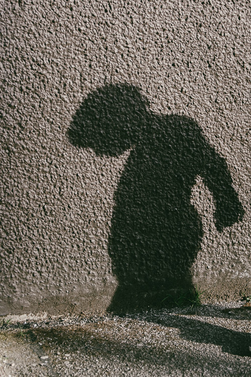 Shadow portrait