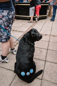 Activist's dog has Scottish referendum stickers on its bum