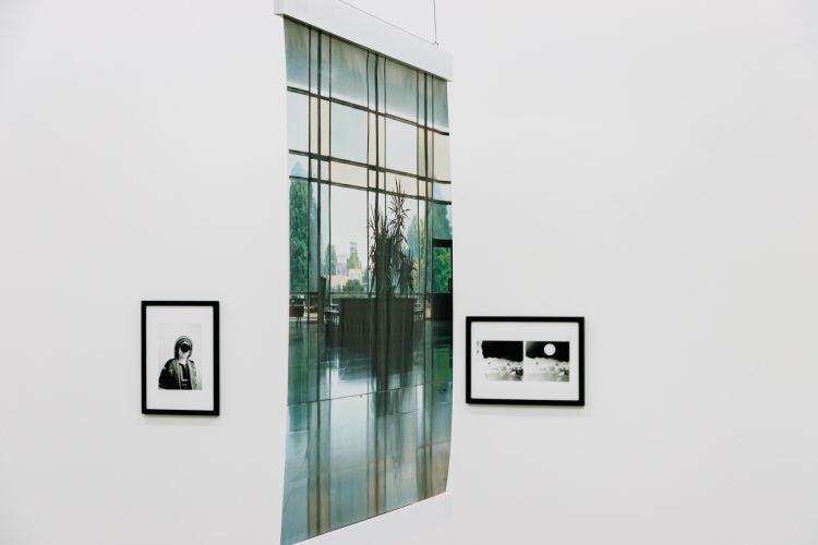 Juxtaposition - a banner print of some-place planter vs framed "Middle Eastern" images in alSharif's installation